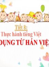 Bài giảng Ngữ văn Lớp 10 (Sách Kết nối tri thức) - Bài 1 Thực hành Tiếng Việt - Sử dụng từ Hán Việt - Năm học 2022-2023